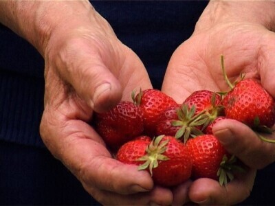 Documentaire tweeluik: Zeventigers en Zeventigsters